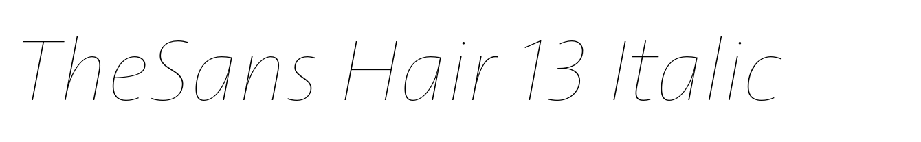 TheSans Hair 13 Italic